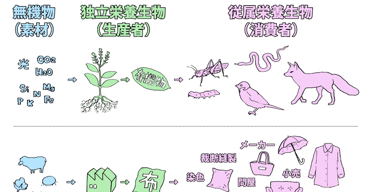 独立栄養生物