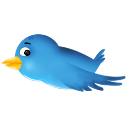 bird graphics flying animated icon gifs social network grief follow healing july icon2 blogger standard steps following selections stream week