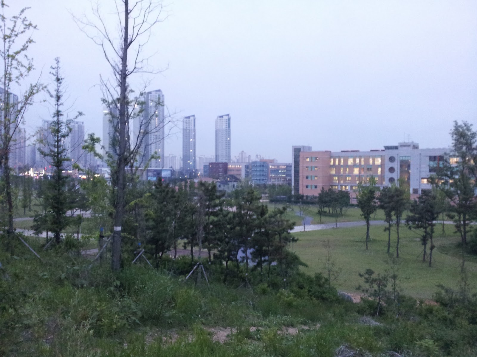 Ben Teaches English Over a year. And Namdong Tower.