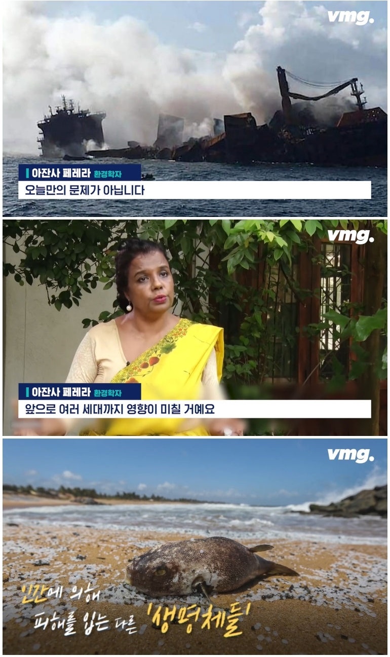 스리랑카 최악의 해양 오염 - 짤티비