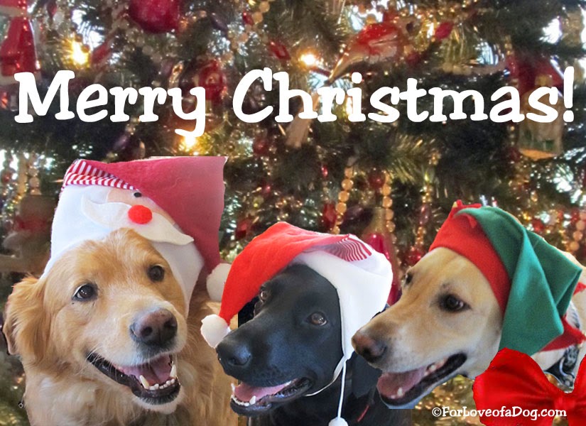 Talking Dogs at For Love of a Dog: Merry Christmas from Talking Dogs