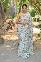 Lavanya Tripathi Latest Dazzling Photos in Saree TollywoodBlog