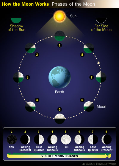 Islamic Month Beginning - Discussion: Phases of moon