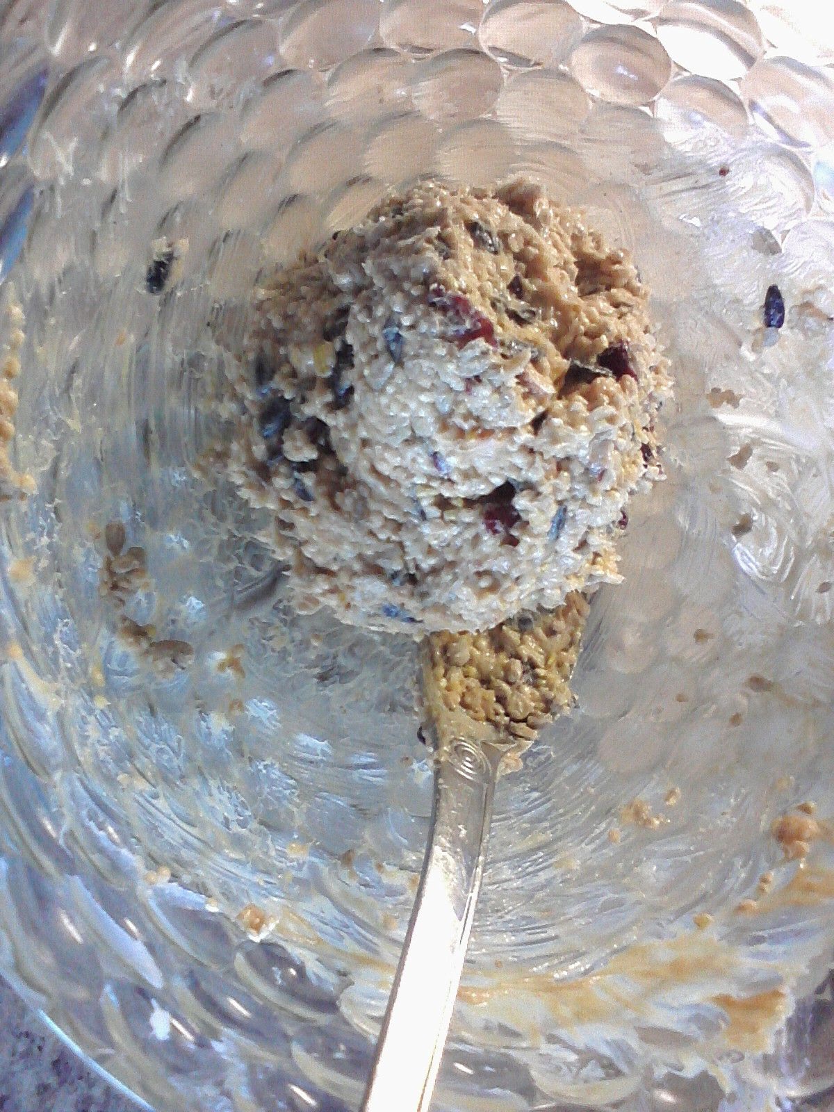 2013 52 Weeks of Arts & Crafts Homemade Suet