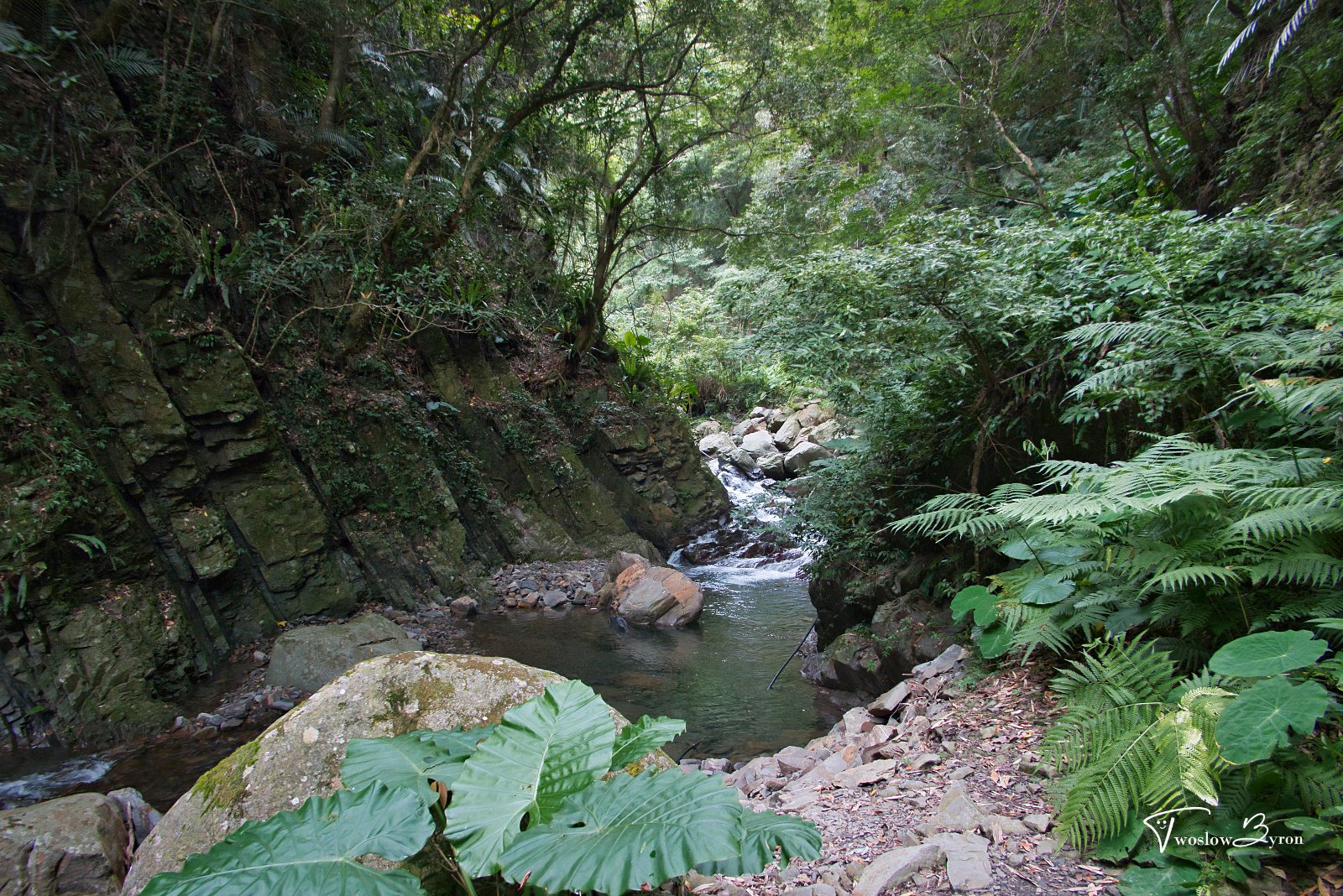 老鷹溪步道