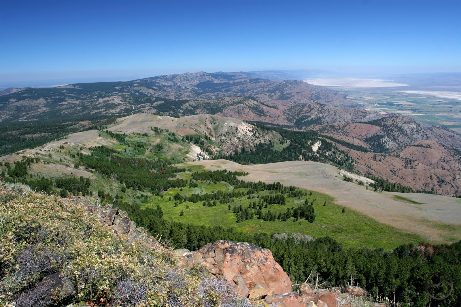 daily timewaster: A Gem Rediscovered