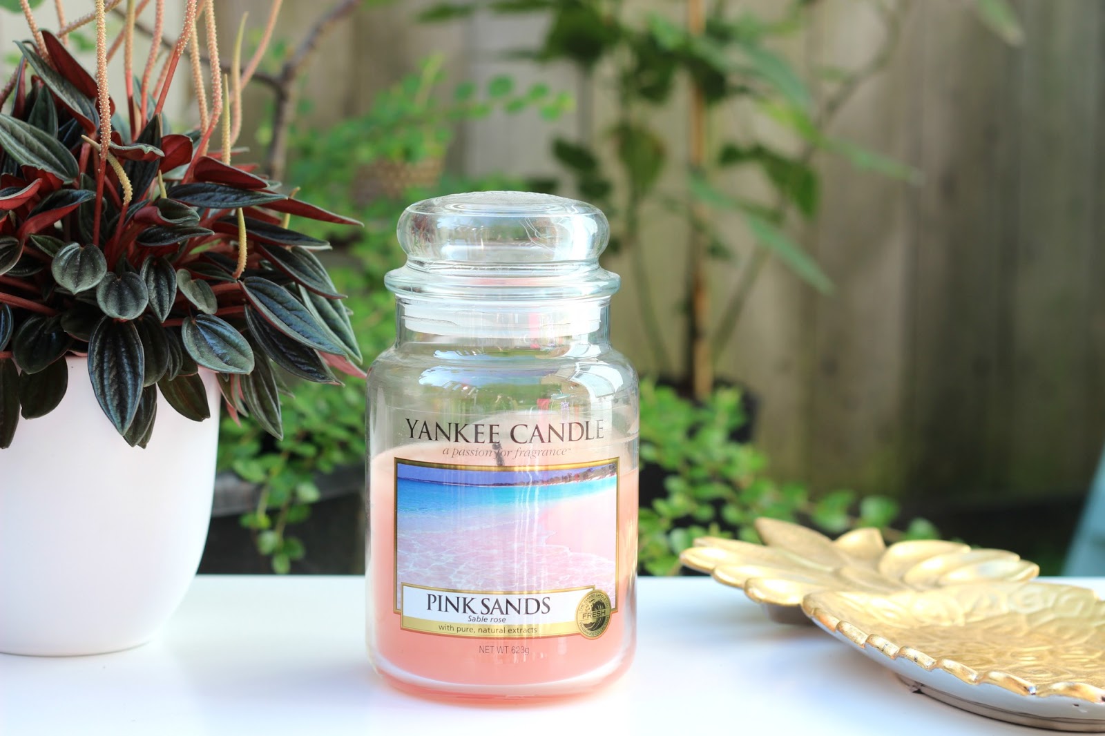 Home My Yankee Candle Summer Collection