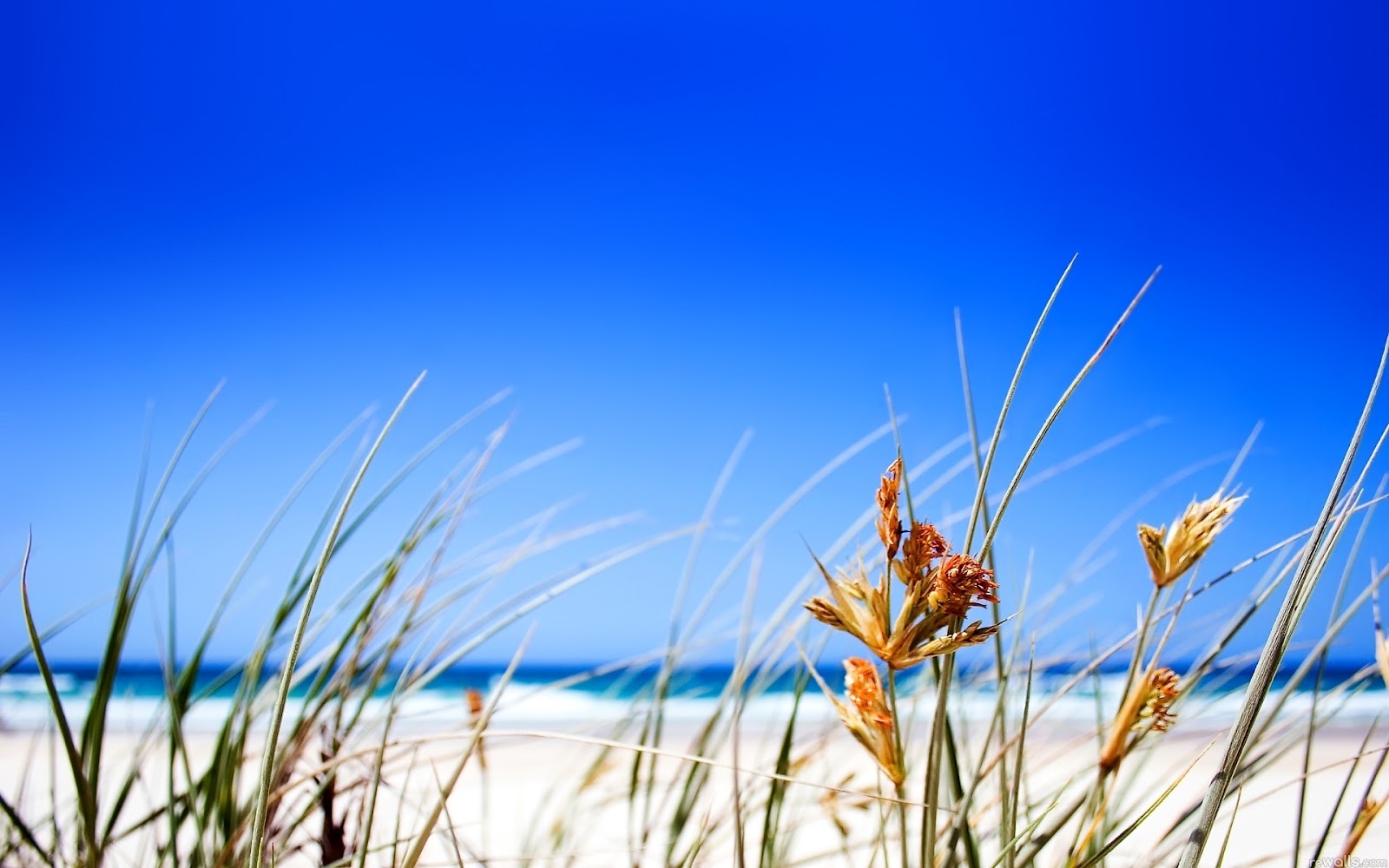Beach Free Background Photos : Seaside Pictures | Download Free Images