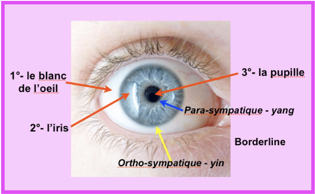 Alerte Votre Corps Vous Parle N 11 Sanpaku Et Maladies De L Oeil