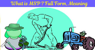 What is the full form of MSP?  What is MSP and how is it calculated?