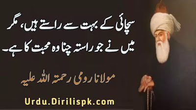 Rumi Quotes in Urdu