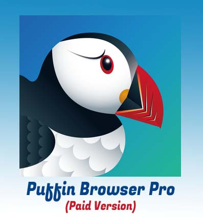 puffin browser apk