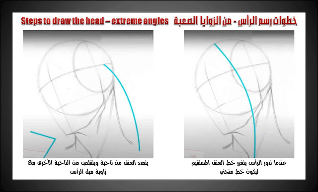 الرسم والتصوير / كيفية رسم الرأس – من الزوايا الصعبة