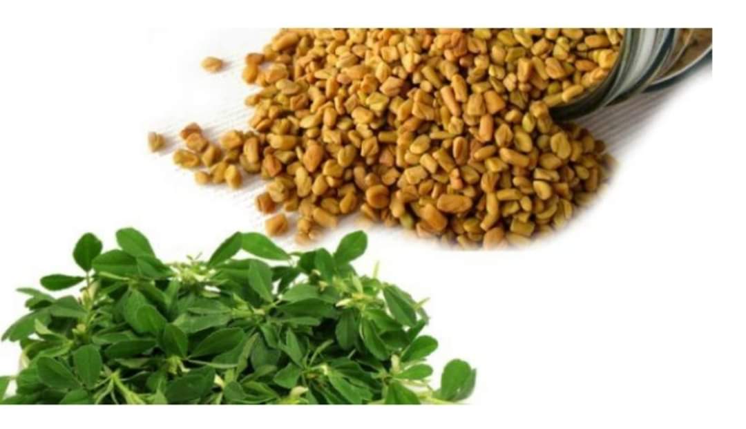 Benefits of Fenugreek and Buckwheat 1 The Messenger of Allah (peace and