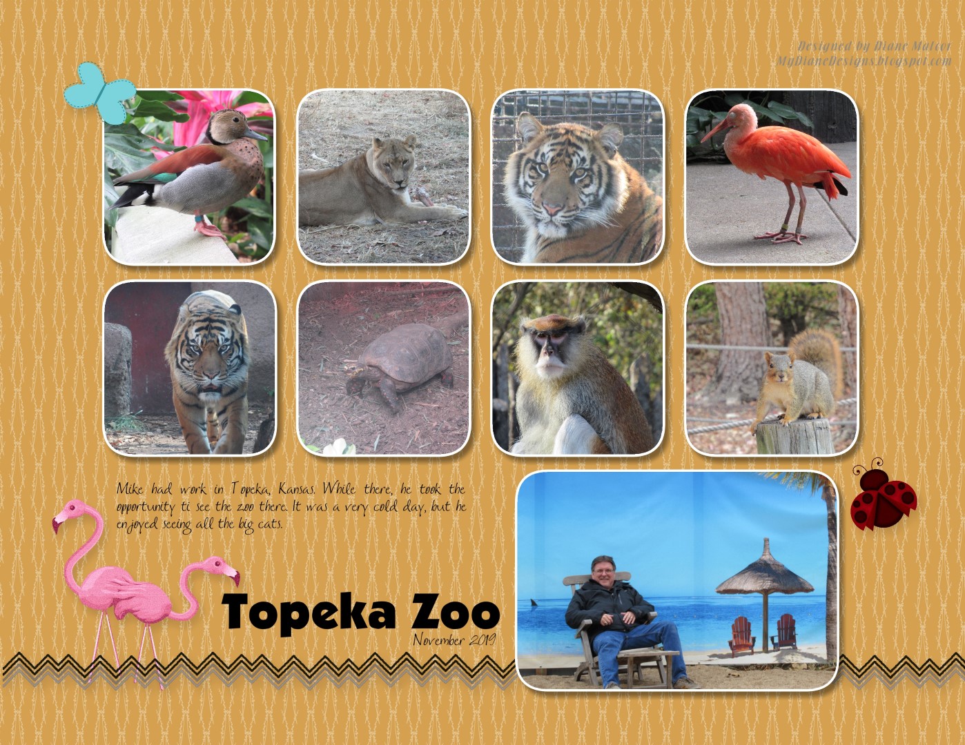 MyDiane Designs Topeka Zoo 2019