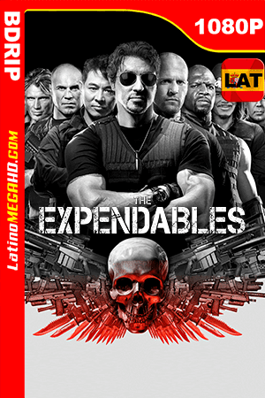 Los Indestructibles (2010) Latino HD BDRIP 1080P (2010)