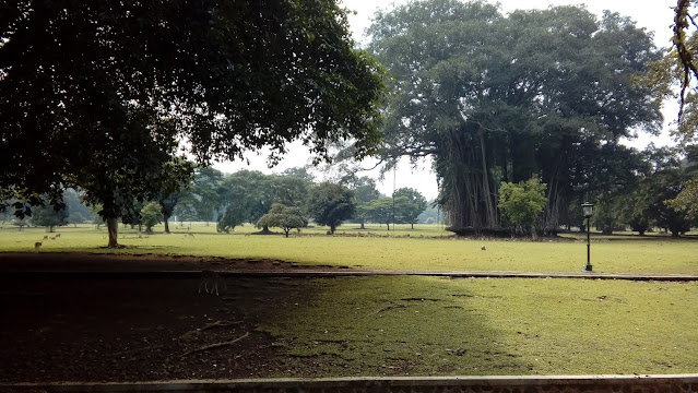 Bogor kota indah sejuk nyaman