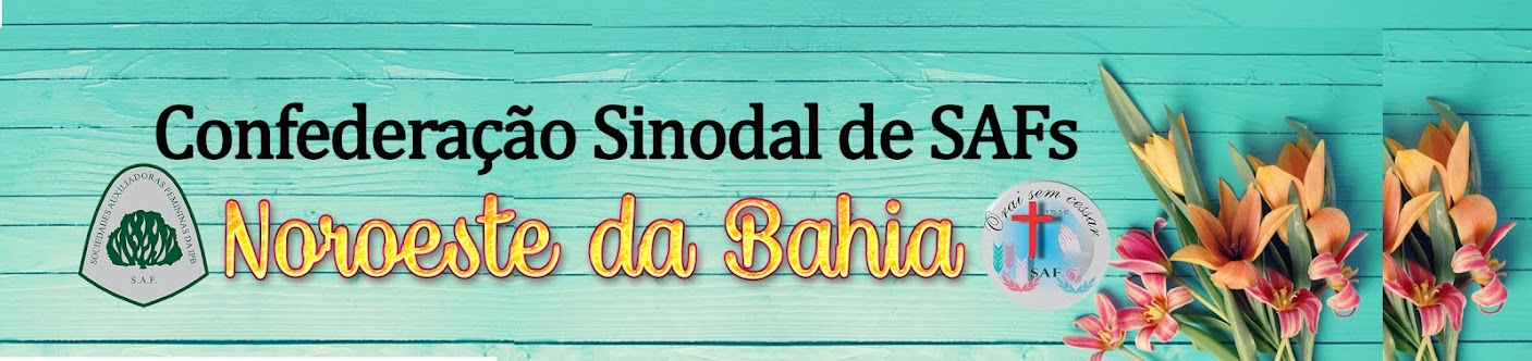 Blog da Sinodal de SAFs -  Noroeste da Bahia