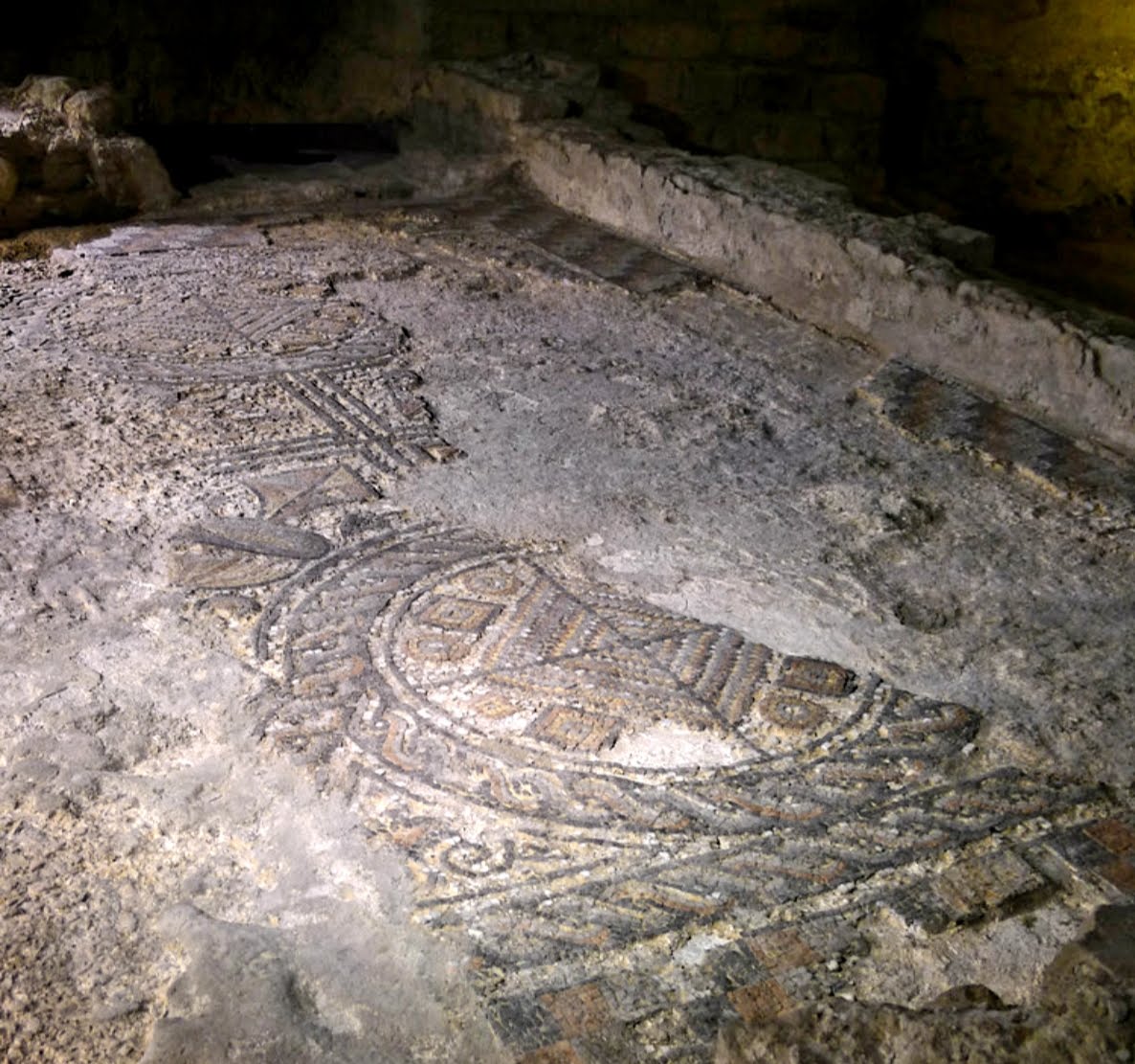 LES FOUILLES ARCHÉOLOGIQUES de l'ancienne ville romaine dinia (850 m2)