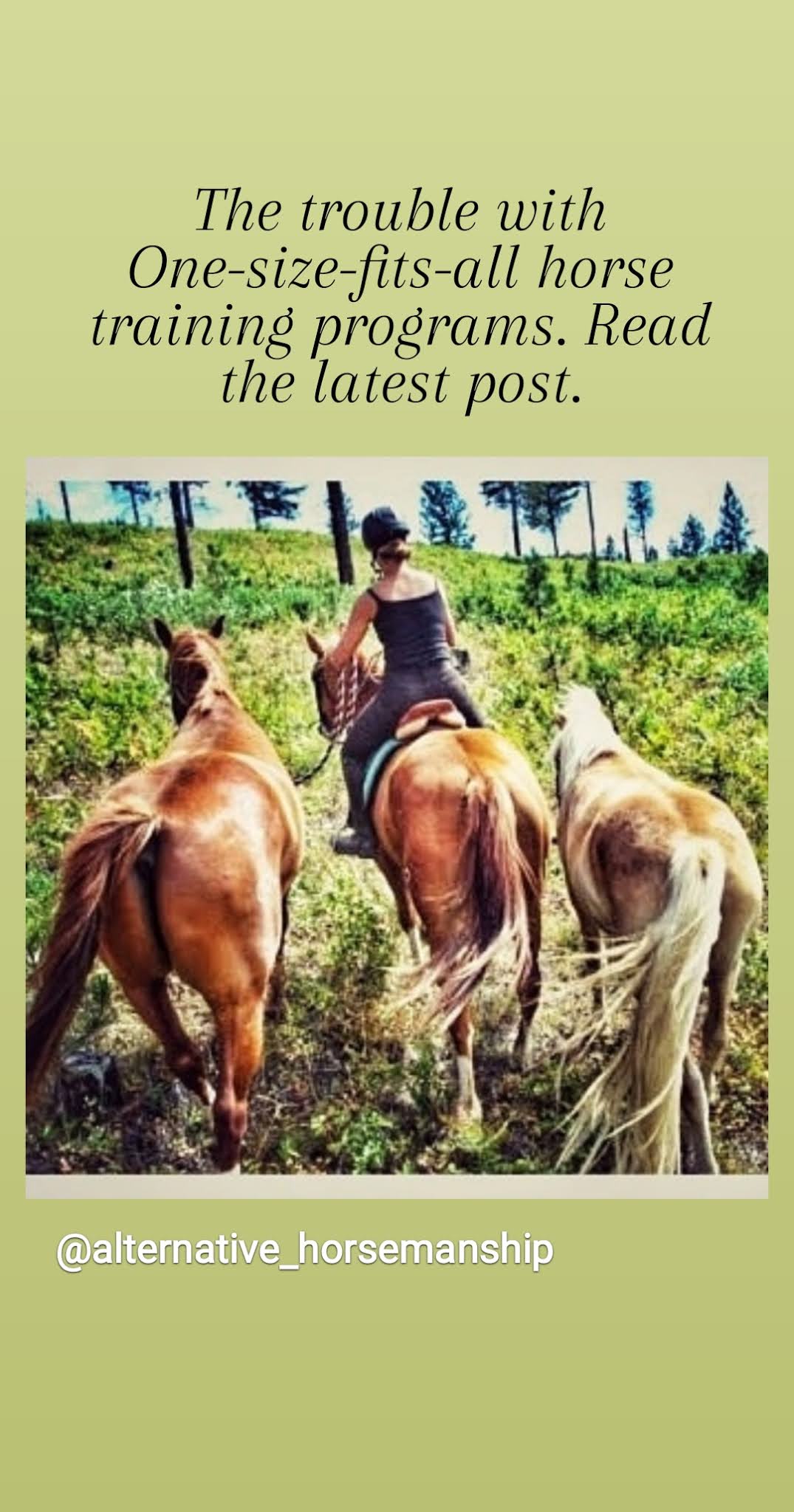 Alternative Horsemanship with Samantha Harvey the Remote Horse Coach