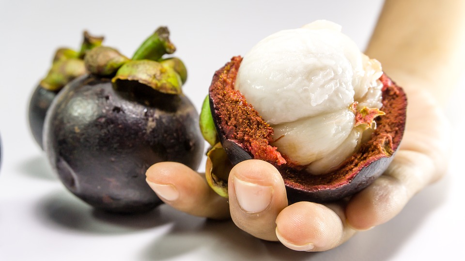 Mangosteen Queen of Tropical Fruits