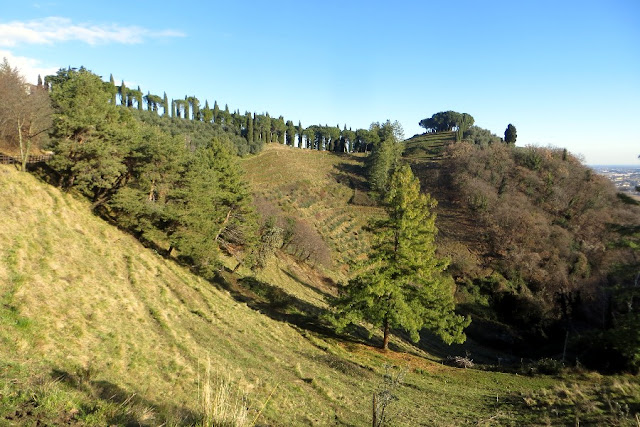 colline san benedetto marostica