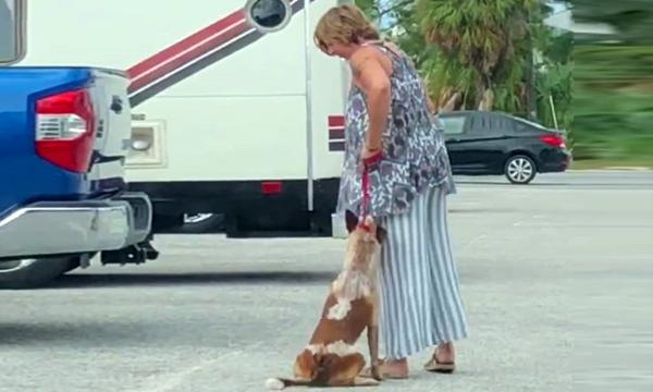 Γυναίκα κλώτσαγε και έπνιγε με το λουρί τον σκύλο της (βιντεο)