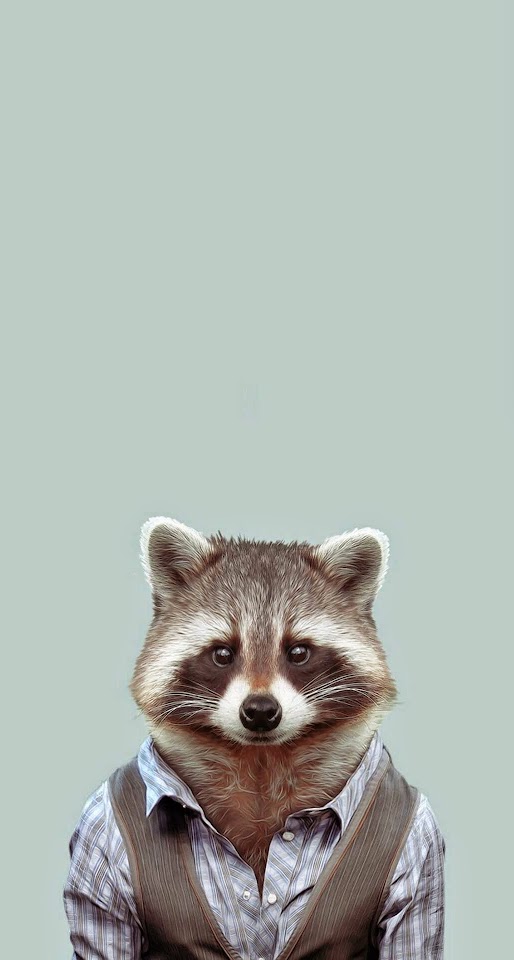 Yago Portal Zoo Portraits Common Raccoon  Galaxy Note HD Wallpaper