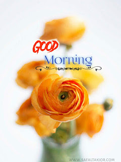 Lovely good morning yellow flower images 