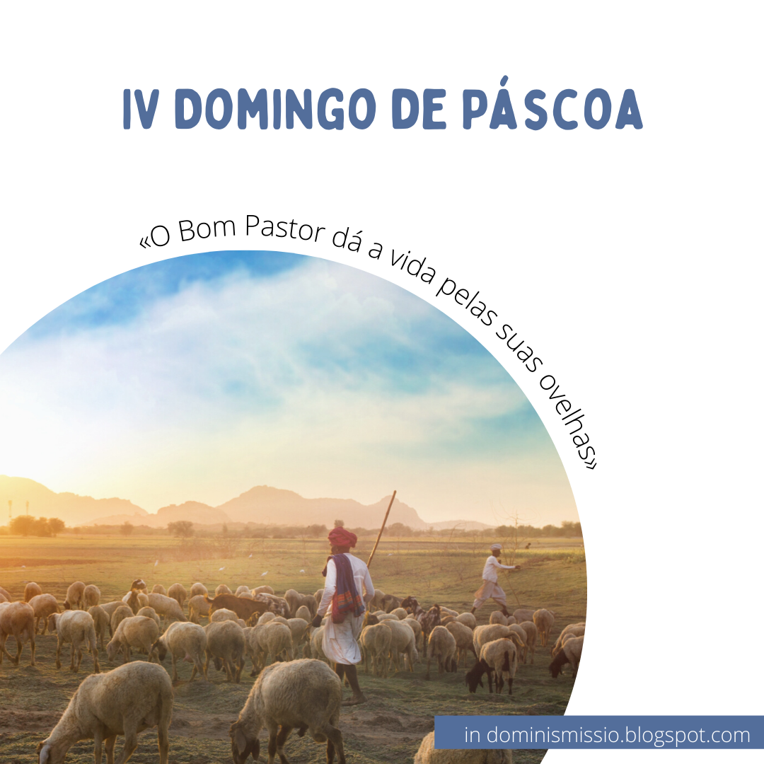IV Domingo da Páscoa Domingo do