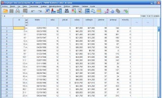 Spss Statistics V17 0 Full Version Kau Ops