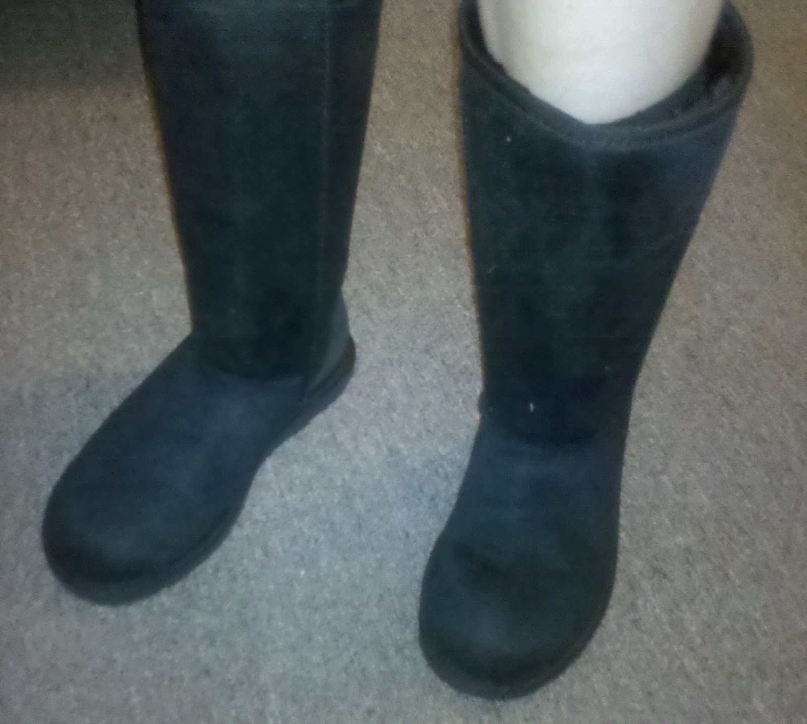 Through the Sole A shoe blog Awesome and Stylish Aussie Dogs Boots