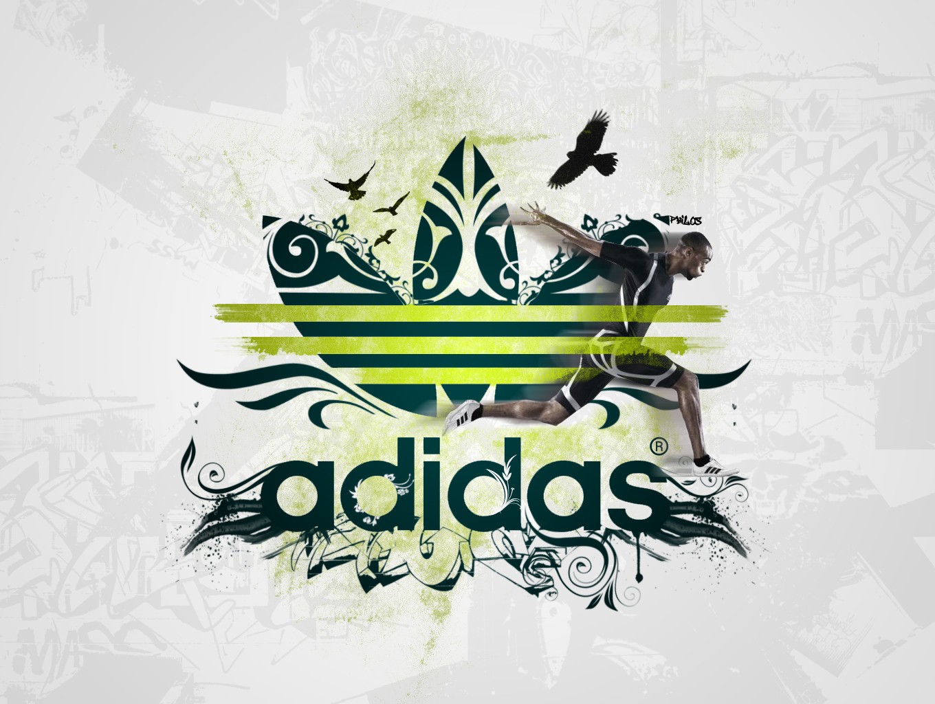 Colorful Adidas Logos Central wallpaper: adidas logo hd wallpapers