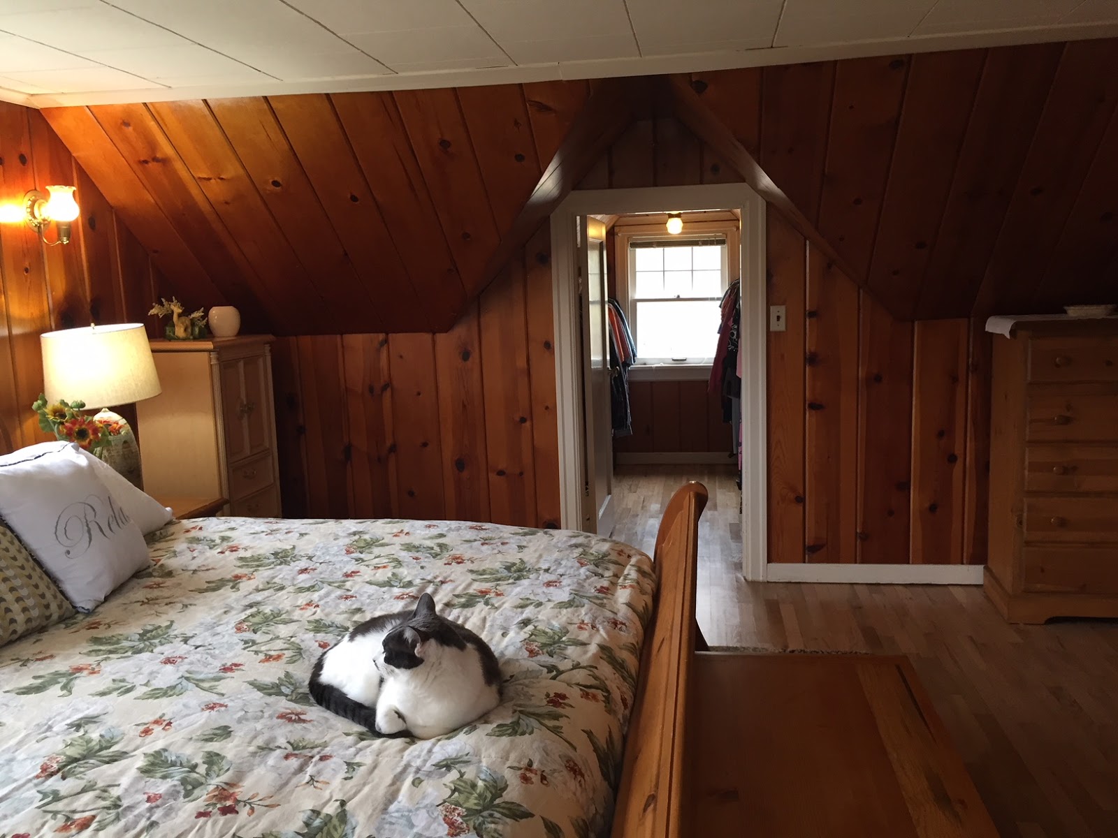 Knotty Pine Walls In The Master Bedroom How To Decorate A