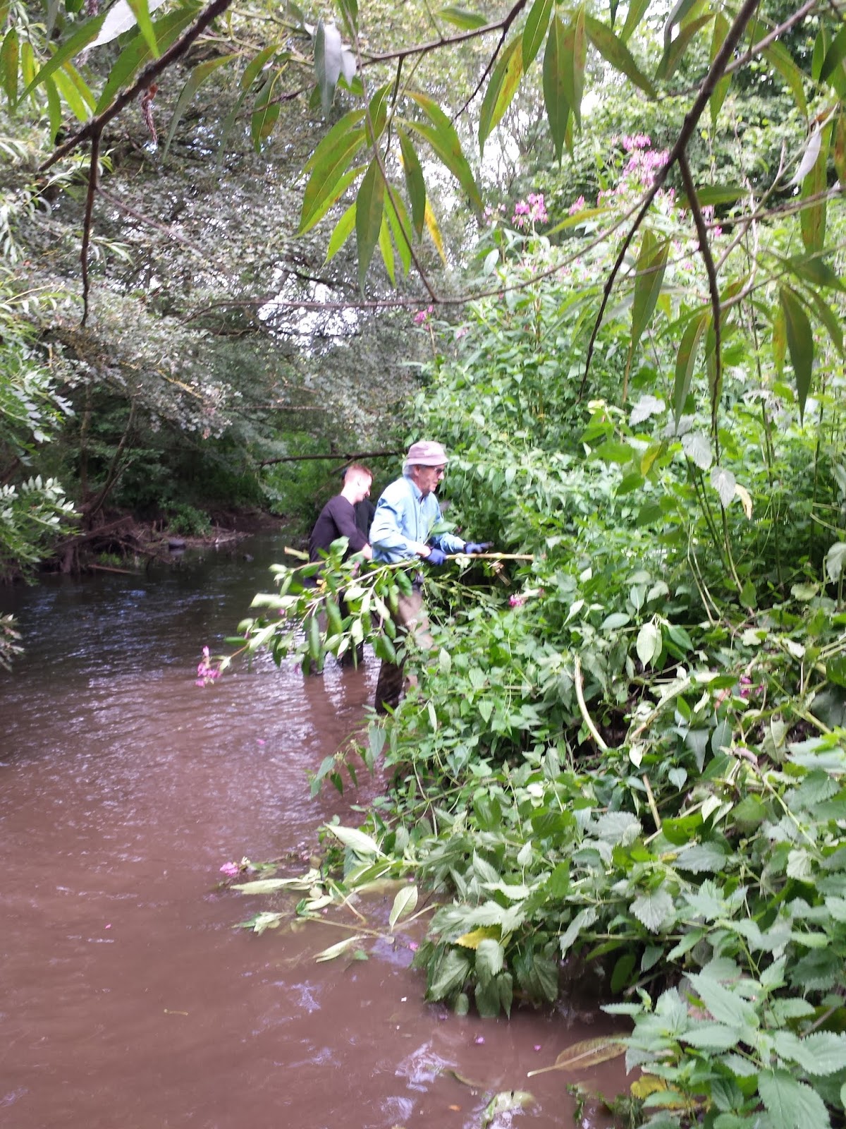 Frampton Cotterell Balsam Journal Parsonage Bridge to Nightingale Bridge