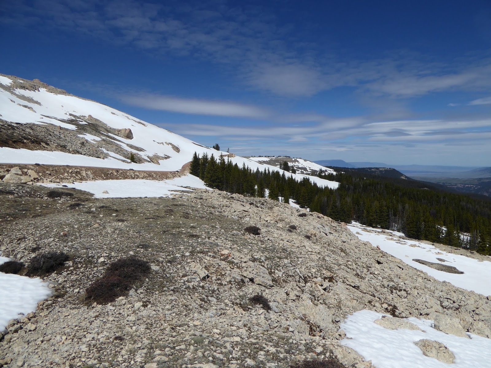 Ray's Retirement Billings MT to Worland WY