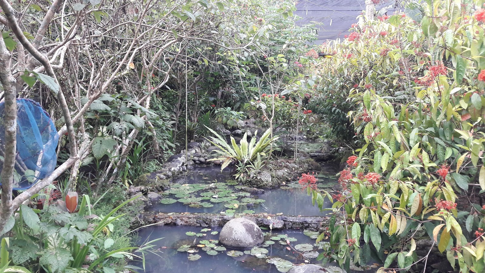 Objek Wisata, Lokasi dan Harga Tiket Taman Kupu-Kupu ...