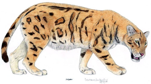 carnivora felidae Paramachairodus