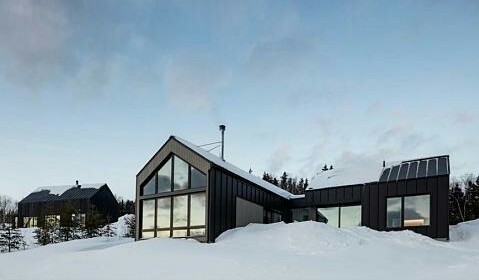 scandinavian homes exterior