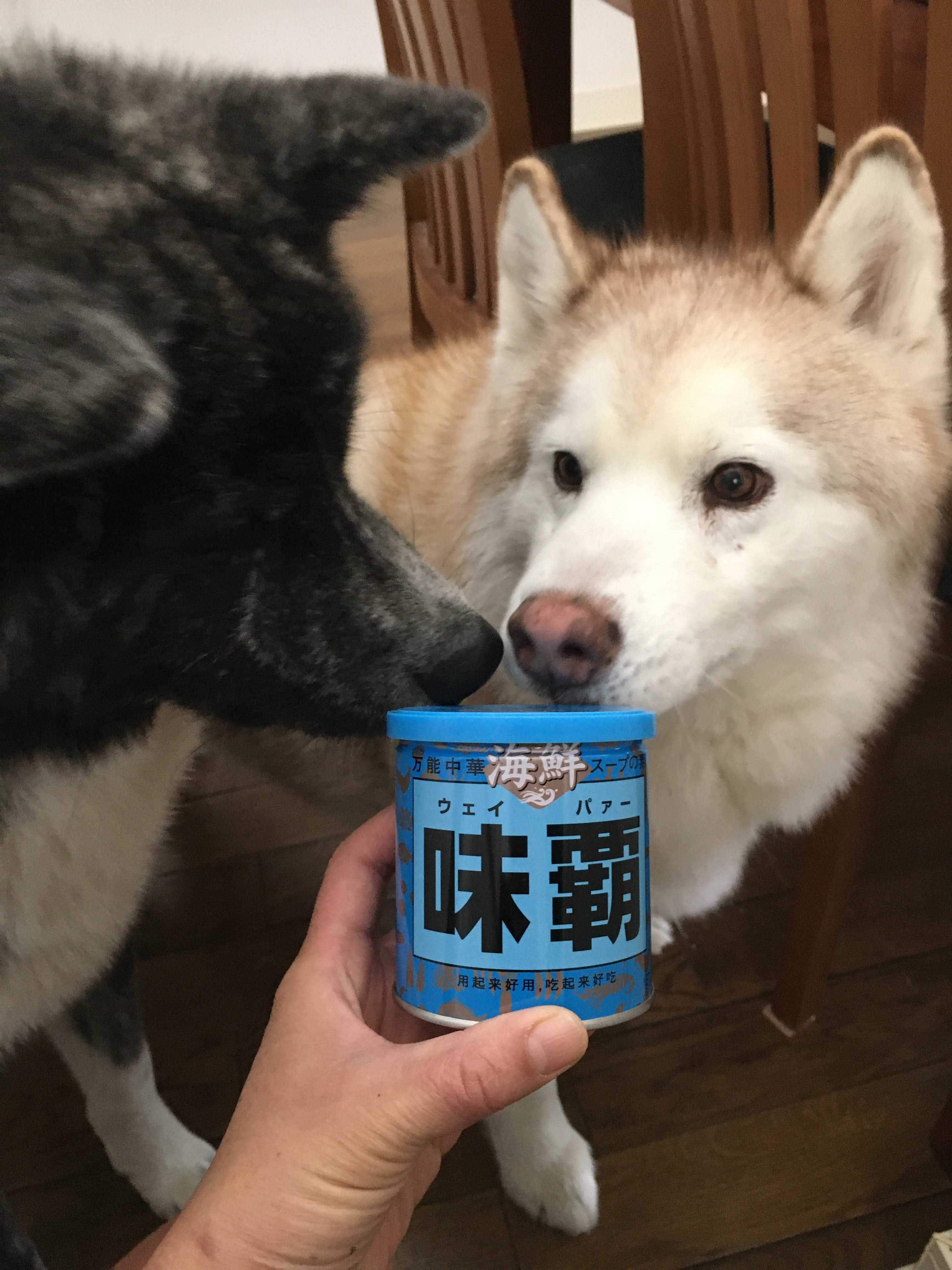 青い味覇 発見