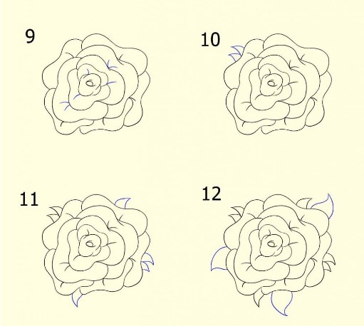 Cara Menggambar Hewan Dan Tumbuhan
