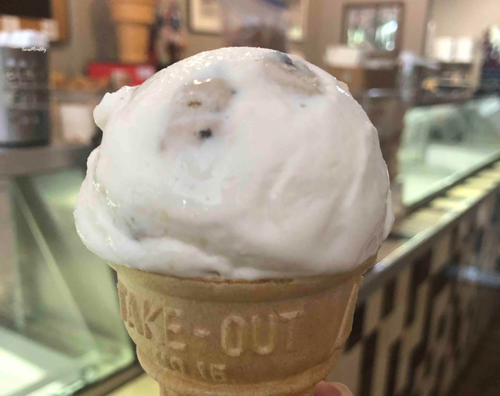 Hawaii Mom Blog Visit Kansas Sylas and Maddy's Homemade Ice Cream