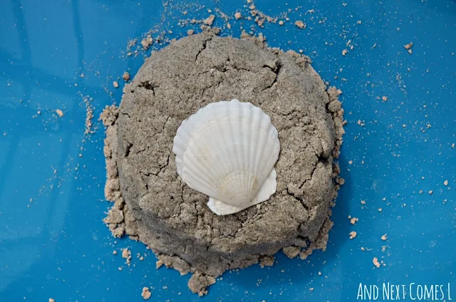 Close up of sand dough with seashell