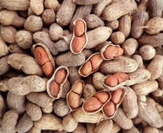 Among the low peanuts market incomes Agriculture in Gujarat groundnut market Price increase from Rs.10 to Rs.15