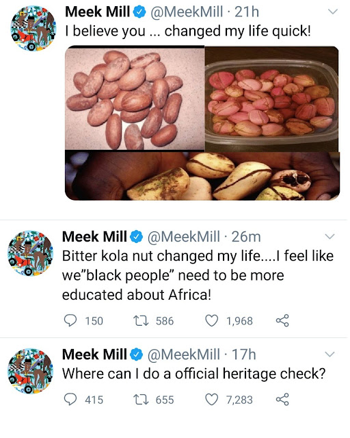 Bitter kola changed my life- Meek Mill reveals an African herb healed his Stomach problem after doctors could not treat it