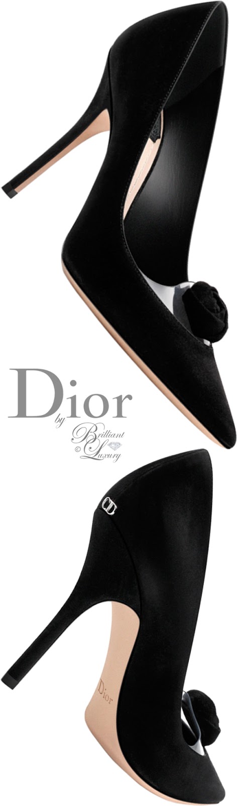 Brilliant Luxury: â¦Dior High Heels Fall 2015-16