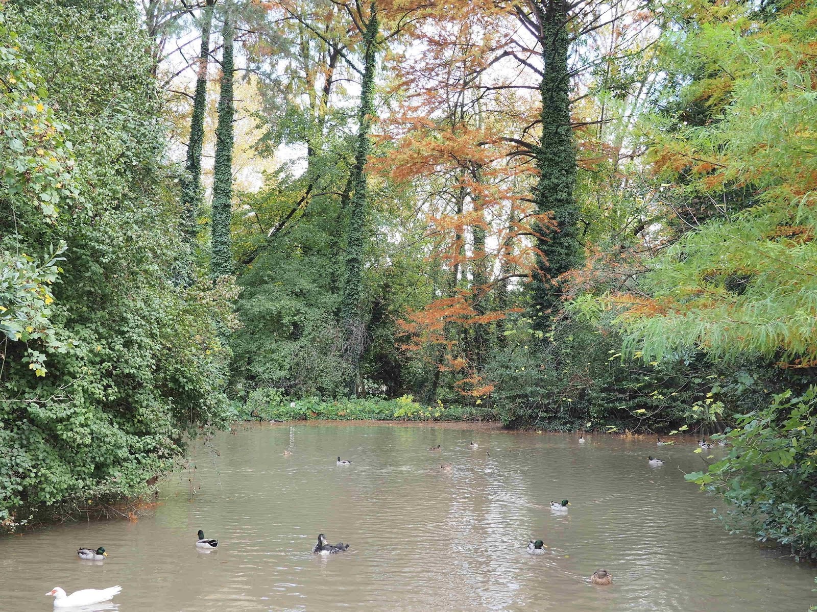 girovagando TRE PARCHI URBANI
