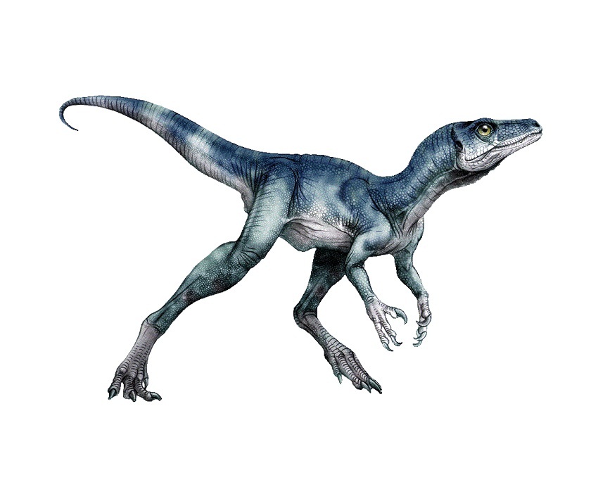 Estiracossauro, DinoDB