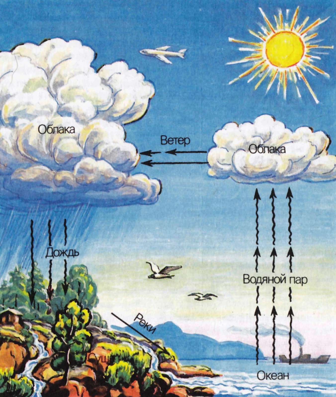 Воздушные круговороты. Круговорот воздуха в природе для детей. Круговорот воды в природе. Круговорот воздуха схема. Круговорот воздуха в атмосфере.