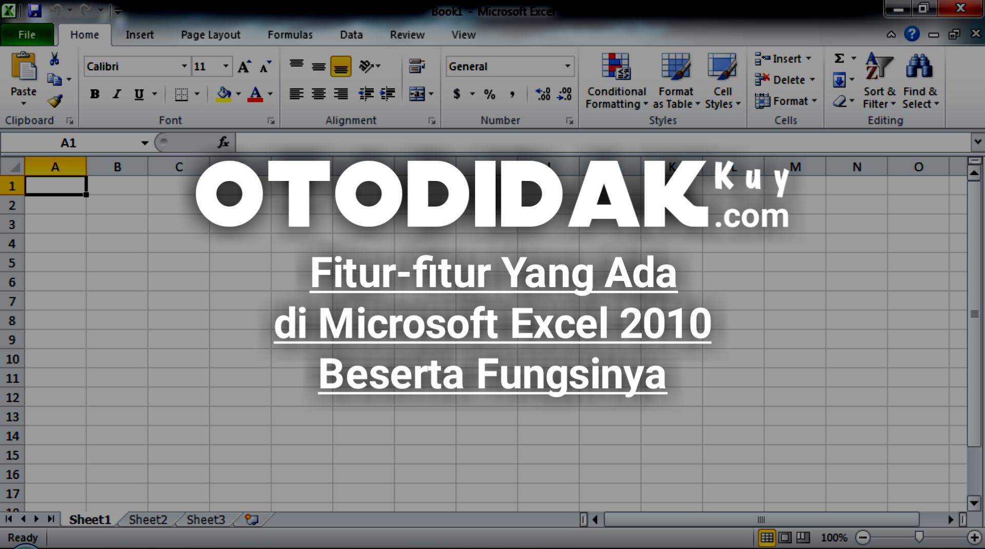 Fitur-fitur Yang Ada di Lingkungan Microsoft Excel 2010 Beserta Fungsinya -  Otodidak Kuy